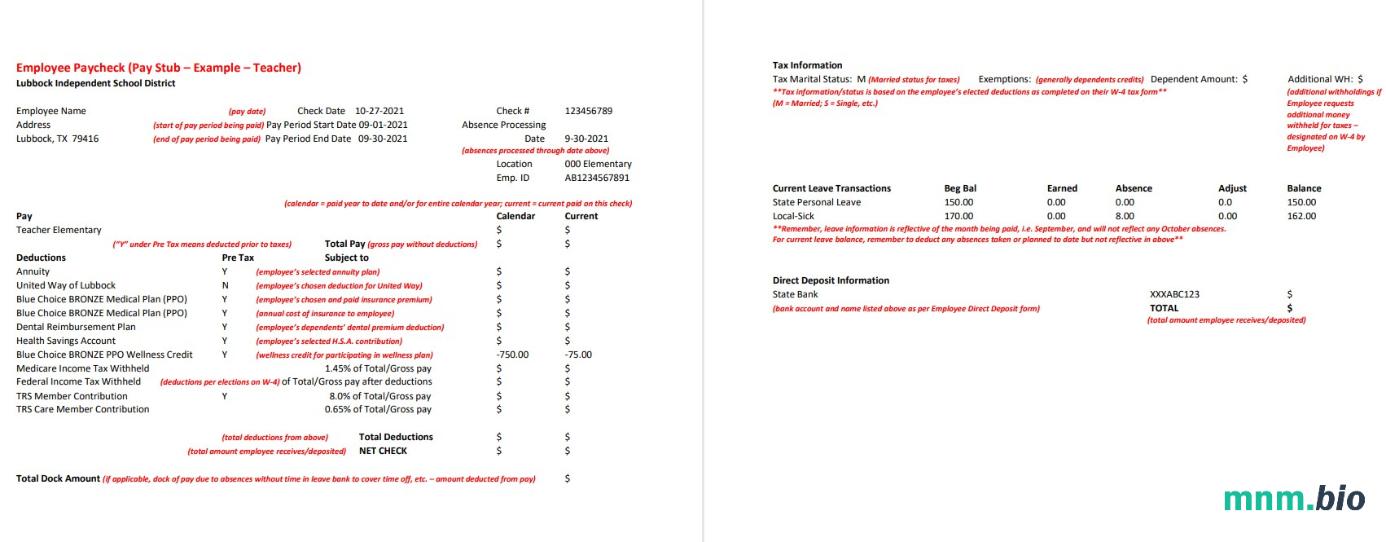 Lubbock Independent School District nauczyciel pay stub Word and PDF template